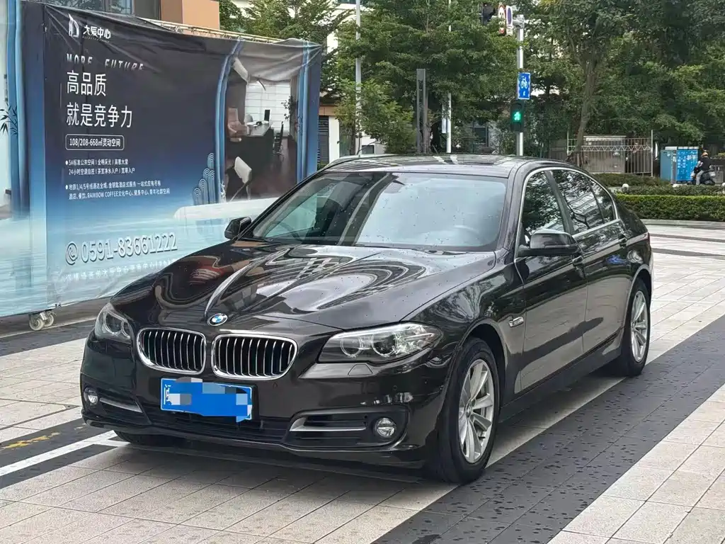 BMW 5 Series 2014 520Li Elegant купить на сайте DeffCars