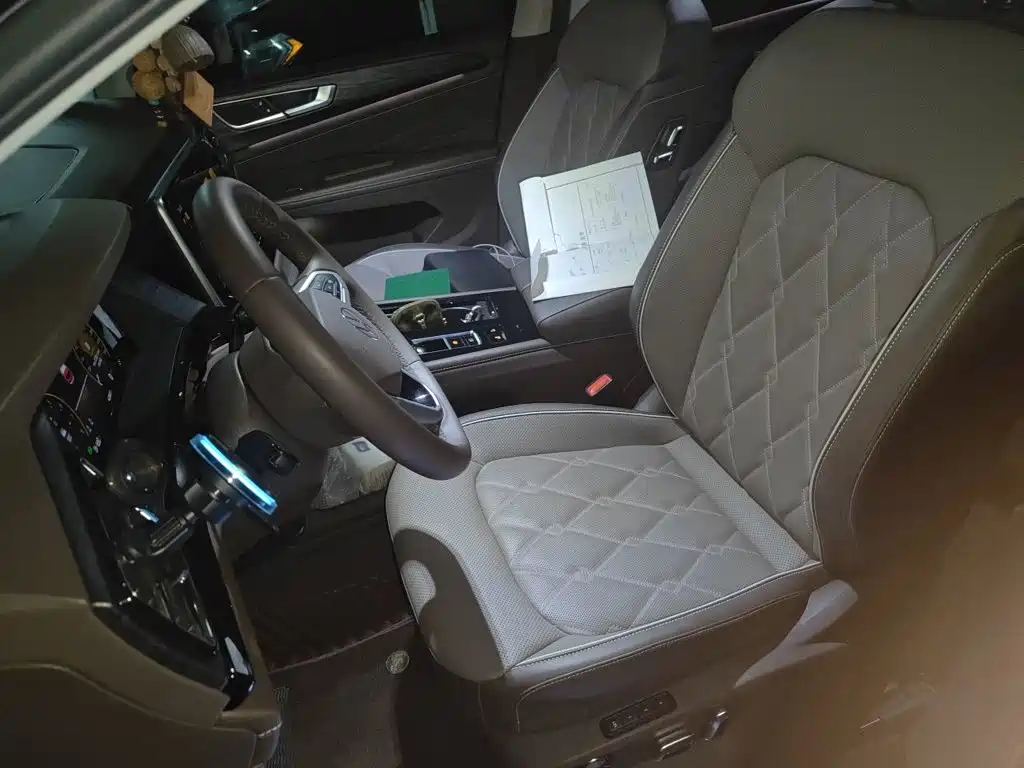 Weiran 2024 380TSI Premium Edition купить на сайте DeffCars