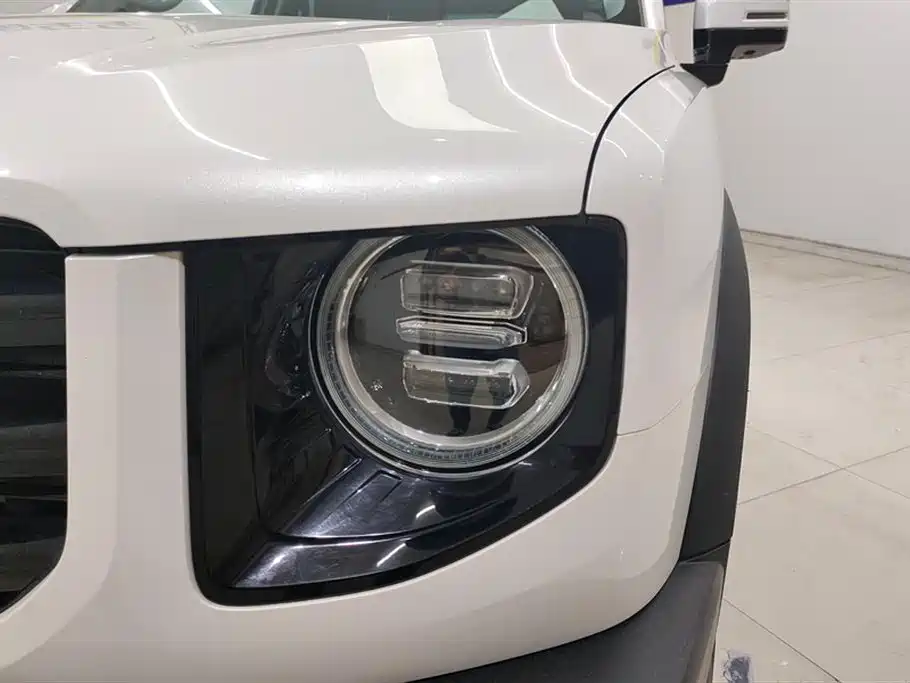 Haval Big Dog 2021 1.5T DCT two-wheel drive Border Collie-Wangcai Edition купить на сайте DeffCars