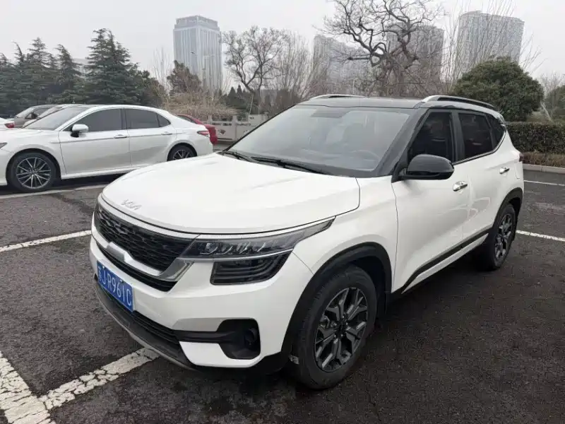 KX3 Propao 2021 1.5L CVT Trendy Edition купить на сайте DeffCars