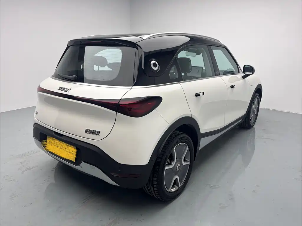 smart Elf #1 2023 Pro version купить на сайте DeffCars