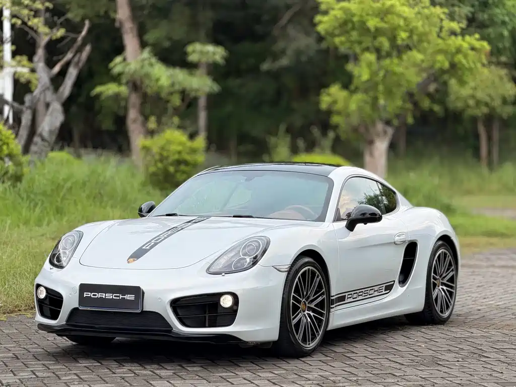 Cayman 2013 Cayman 2.7L купить на сайте DeffCars