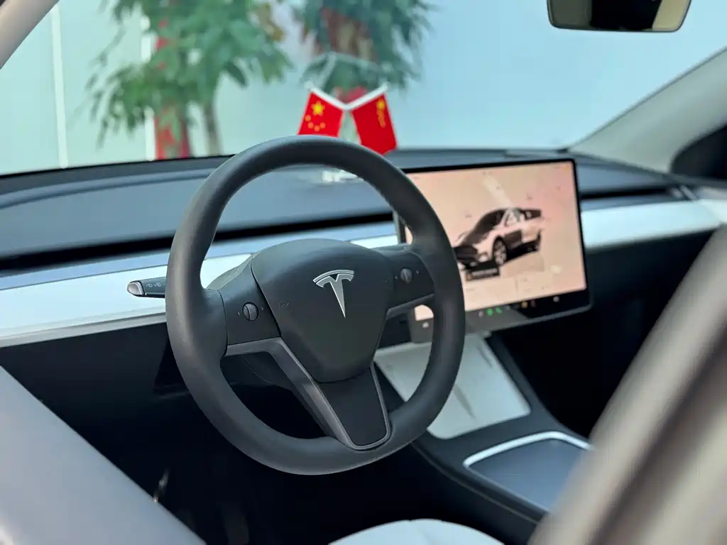 Model Y 2022 modified rear-wheel drive version купить на сайте DeffCars