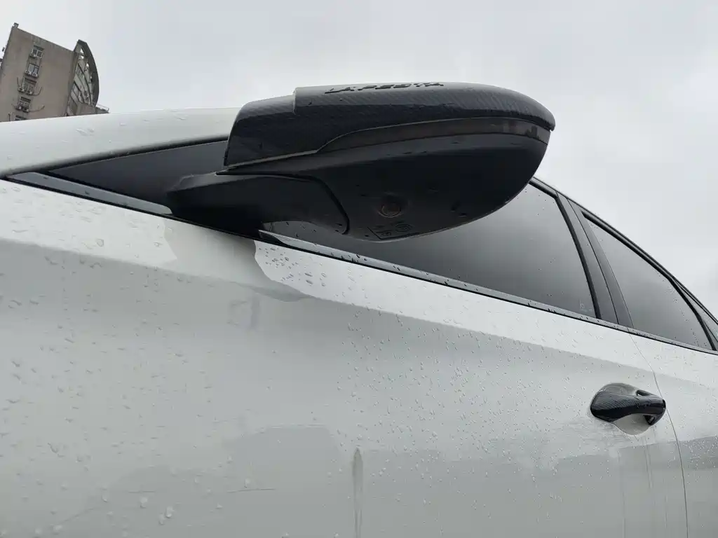 菲斯塔 2019款 280TGDi 运动版 国VI купить на сайте DeffCars