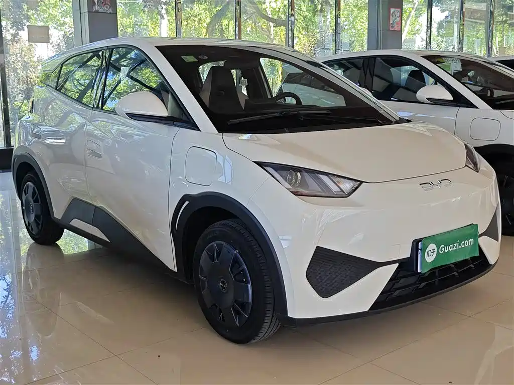 Seagull 2025 305km active version купить на сайте DeffCars