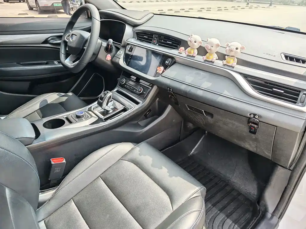 Emgrand New Energy 2019 EV500 Enterprising Standard Range Edition купить на сайте DeffCars