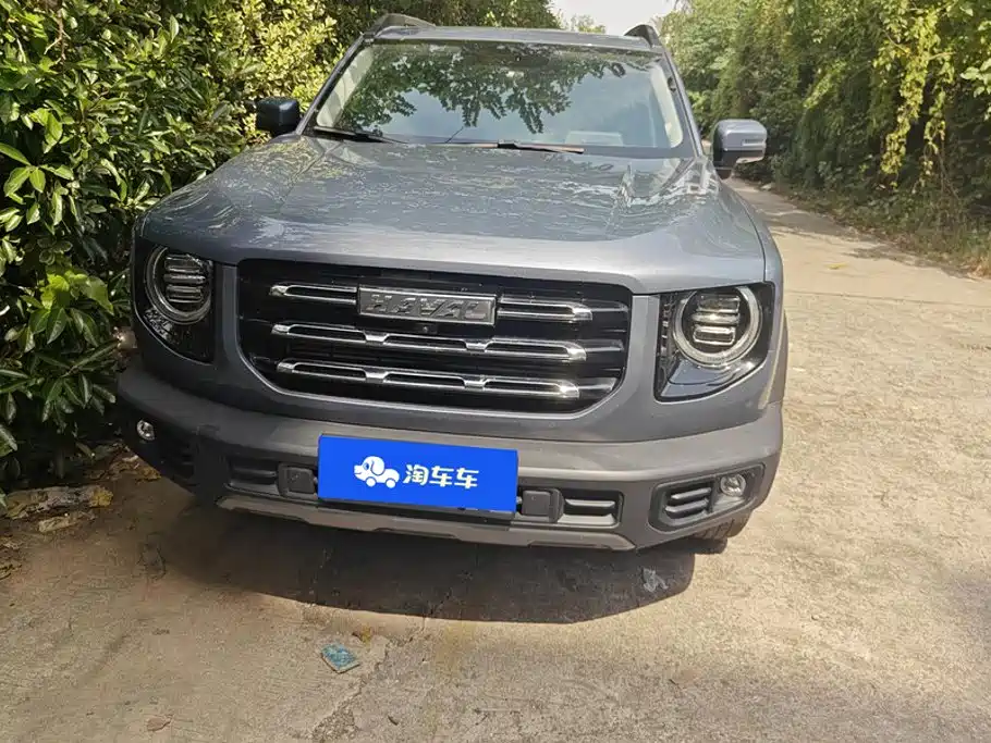 Havaldog 2021 1.5T DCT two-wheel drive Labrador version купить на сайте DeffCars