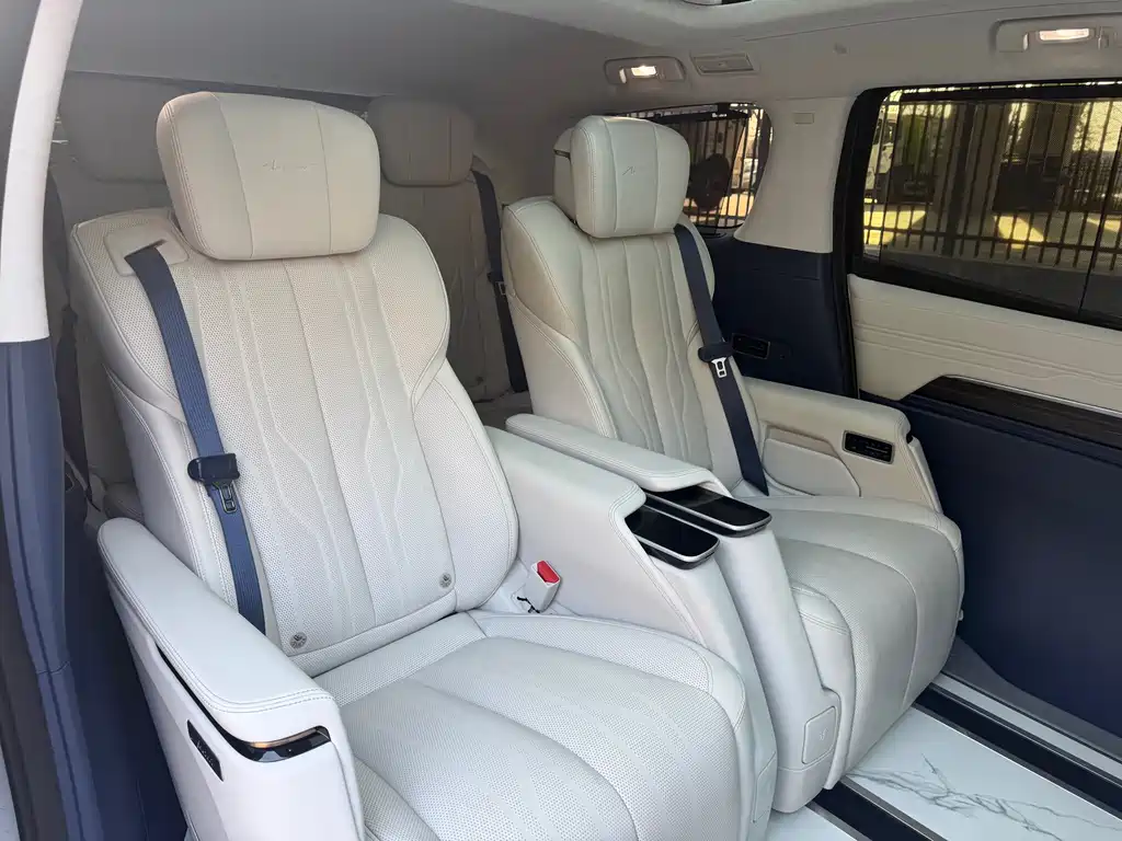 Century 2023 2.0T Six-seater Yuanshi Edition купить на сайте DeffCars