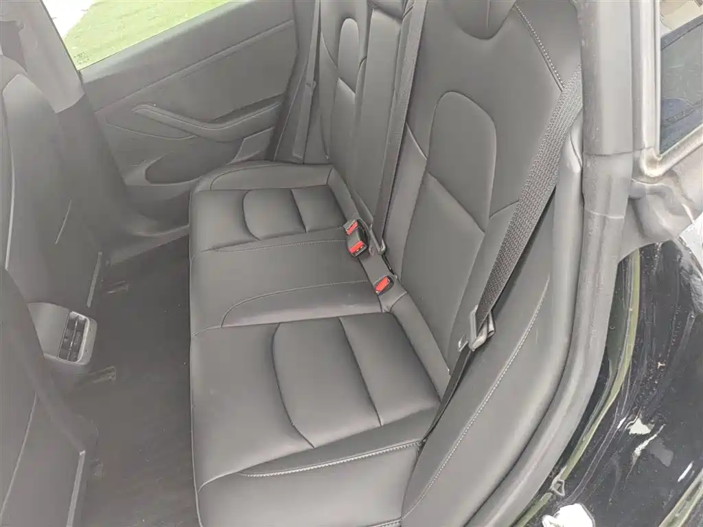 Model 3 2022 rear-wheel drive version купить на сайте DeffCars