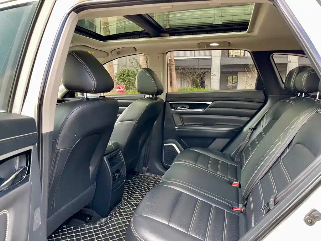 Venucia 2021 260T Automatic Xingshang Edition купить на сайте DeffCars