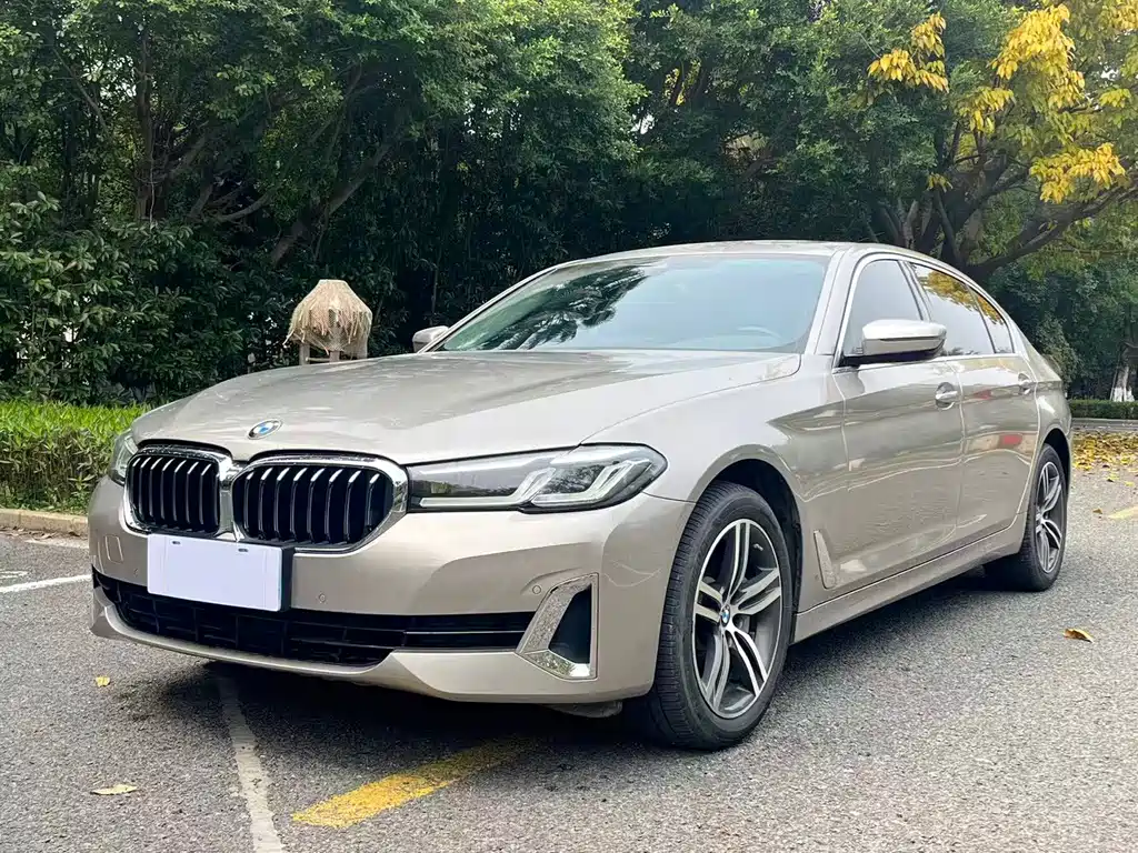 BMW 5 Series 2021 530Li Leading Luxury Package купить на сайте DeffCars