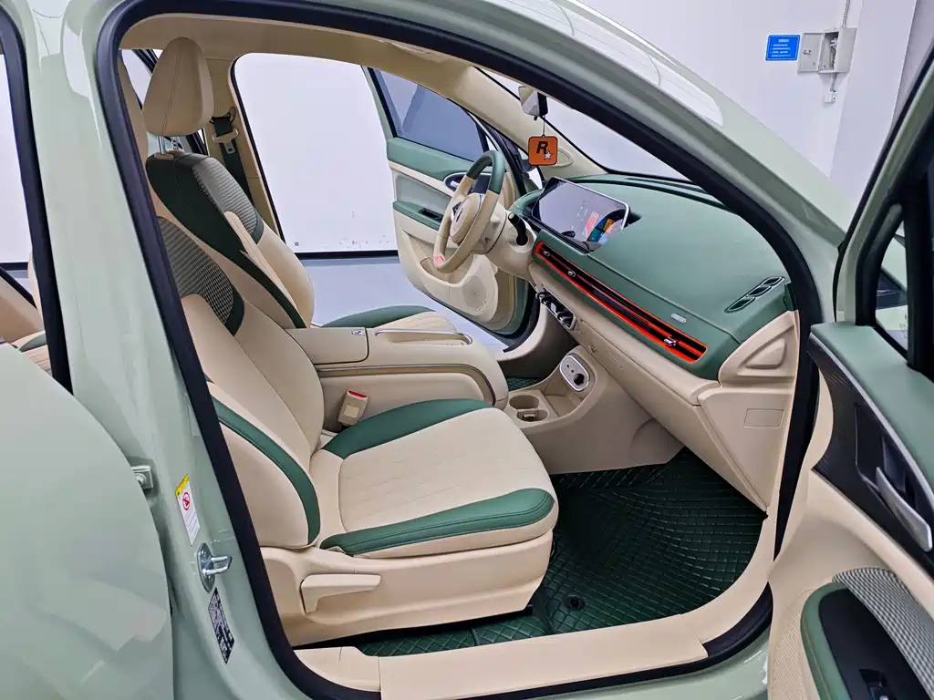 Euler Good Cat 2023 model 401km standard battery life luxury model lithium iron phosphate купить на сайте DeffCars