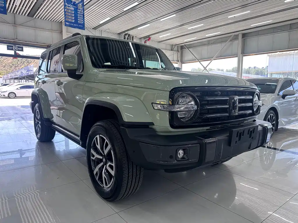 TANK 300 2023 City Edition 2.0T Very Stylish купить на сайте DeffCars
