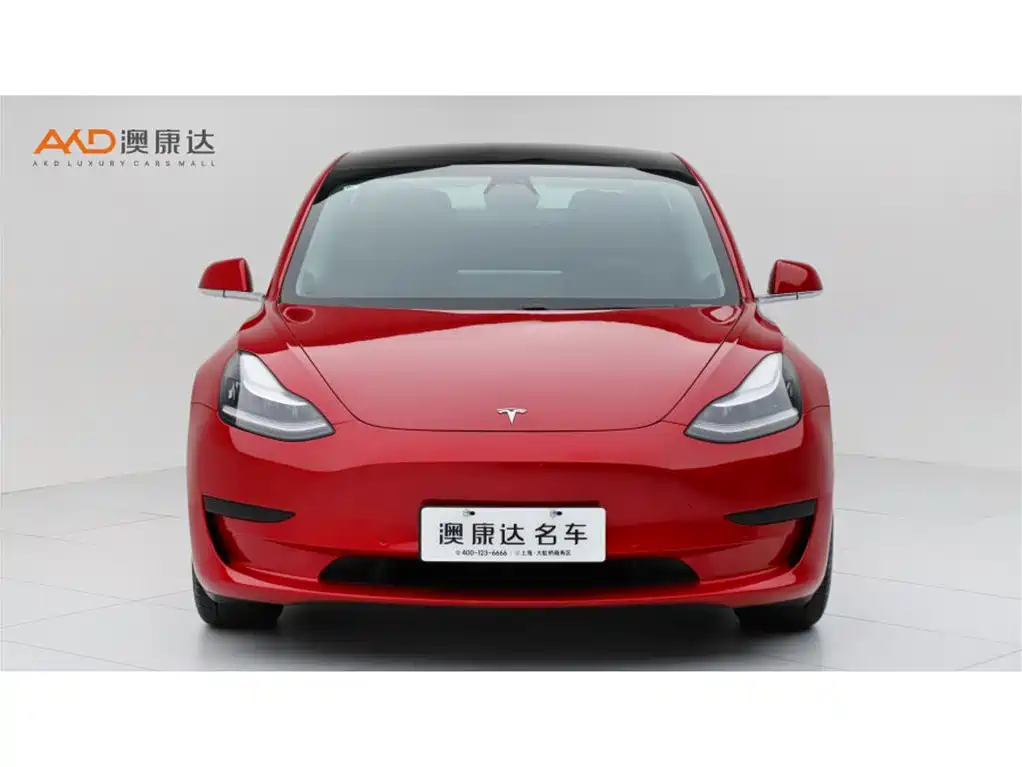 Model 3 2019 standard range rear drive upgraded version купить на сайте DeffCars