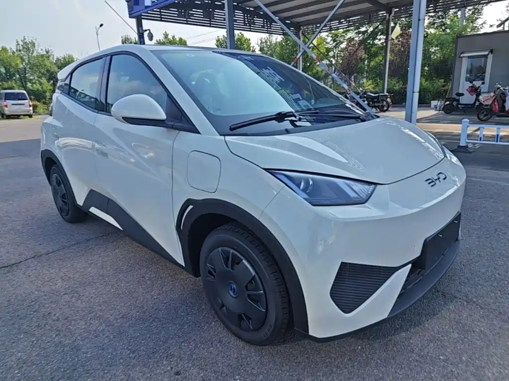Seagull 2025 305km active version купить на сайте DeffCars