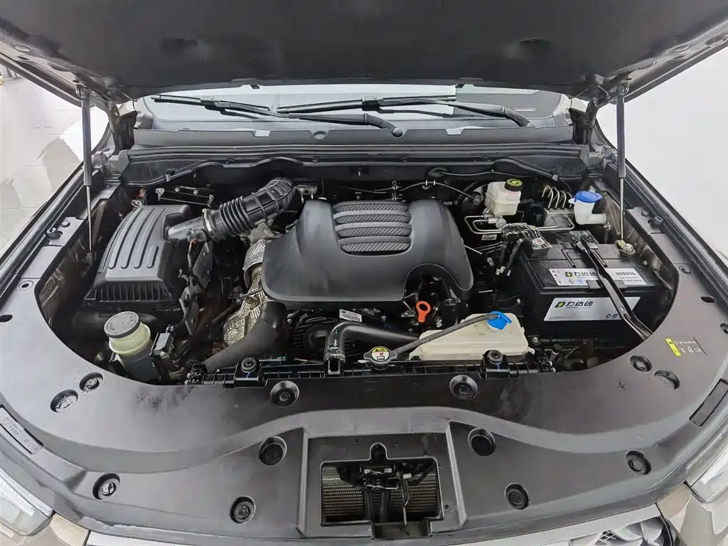 Cannon 2019 2.0T commercial version manual diesel two-wheel drive elite long box GW4D20M купить на сайте DeffCars