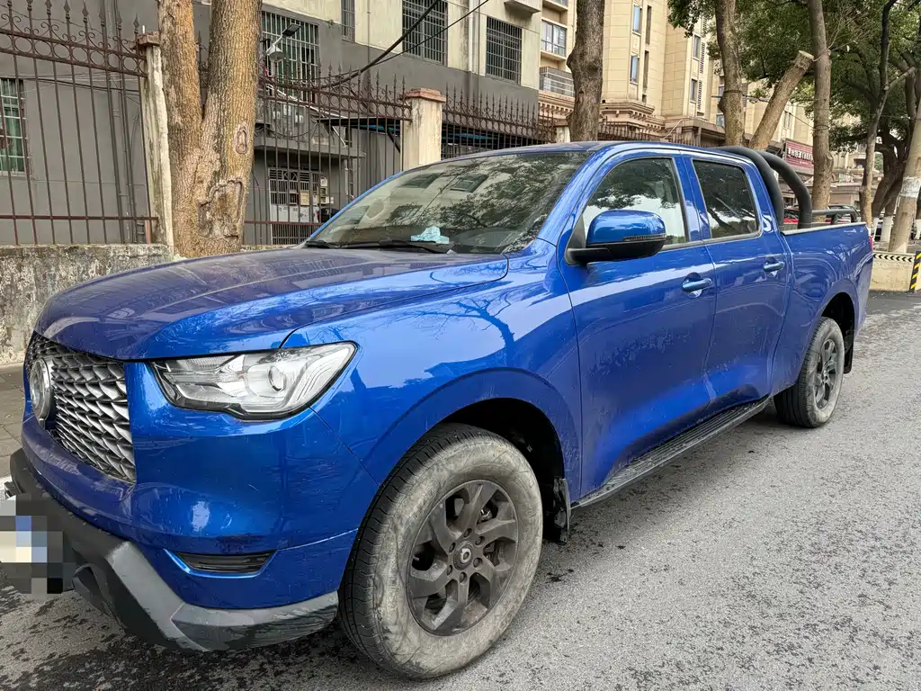 Cannon 2021 2.0T commercial version automatic diesel four-wheel drive elite long box GW4D20M купить на сайте DeffCars