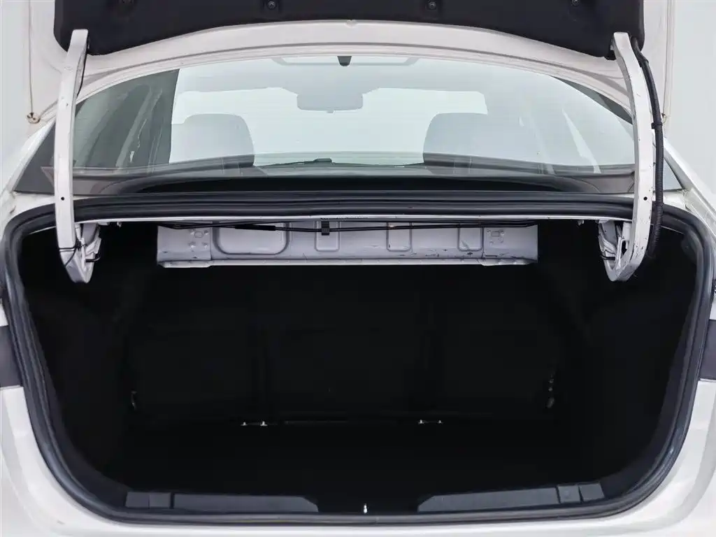 Forex 2019 facelift 1.5L automatic enjoyment type National VI купить на сайте DeffCars