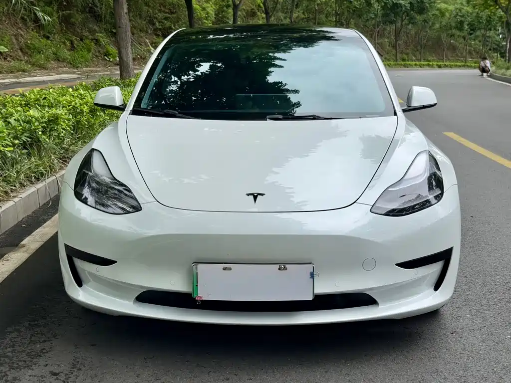 Model 3 2022 rear-wheel drive version купить на сайте DeffCars