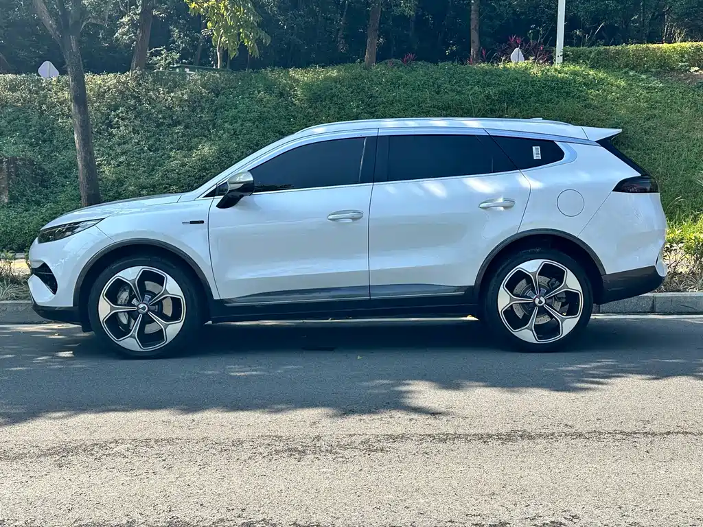Denza X 2020 PHEV flagship version купить на сайте DeffCars