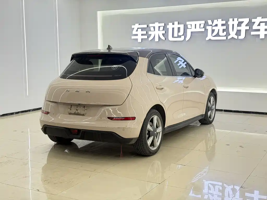 Euler Good Cat 2021 Model 400km Standard Range Athena Edition Lithium Iron Phosphate купить на сайте DeffCars