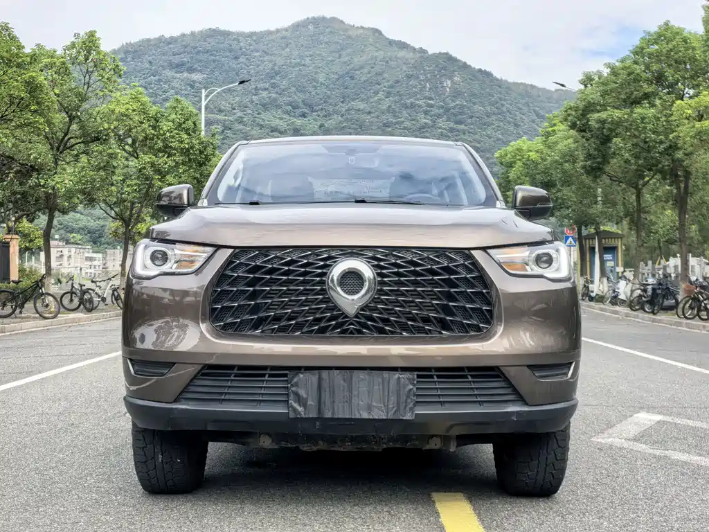 Cannon (Poer) 2019 2.0T Commercial Automatic Gasoline 2WD Elite Long Case GW4C20B купить на сайте DeffCars