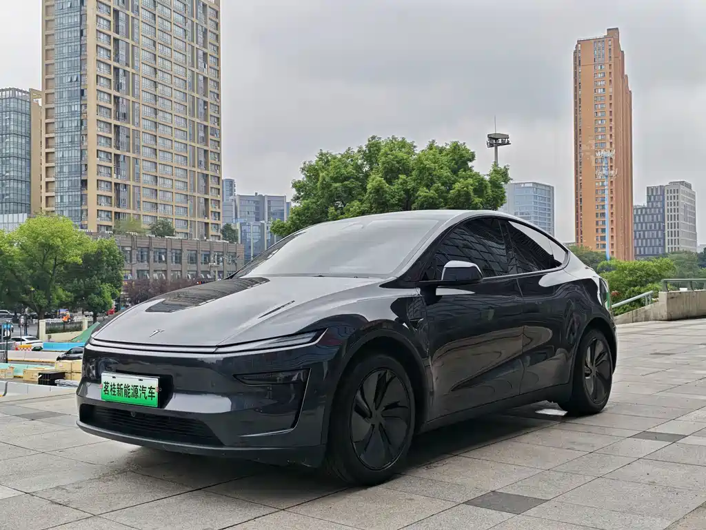 Model Y 2025 rear-wheel drive version купить на сайте DeffCars