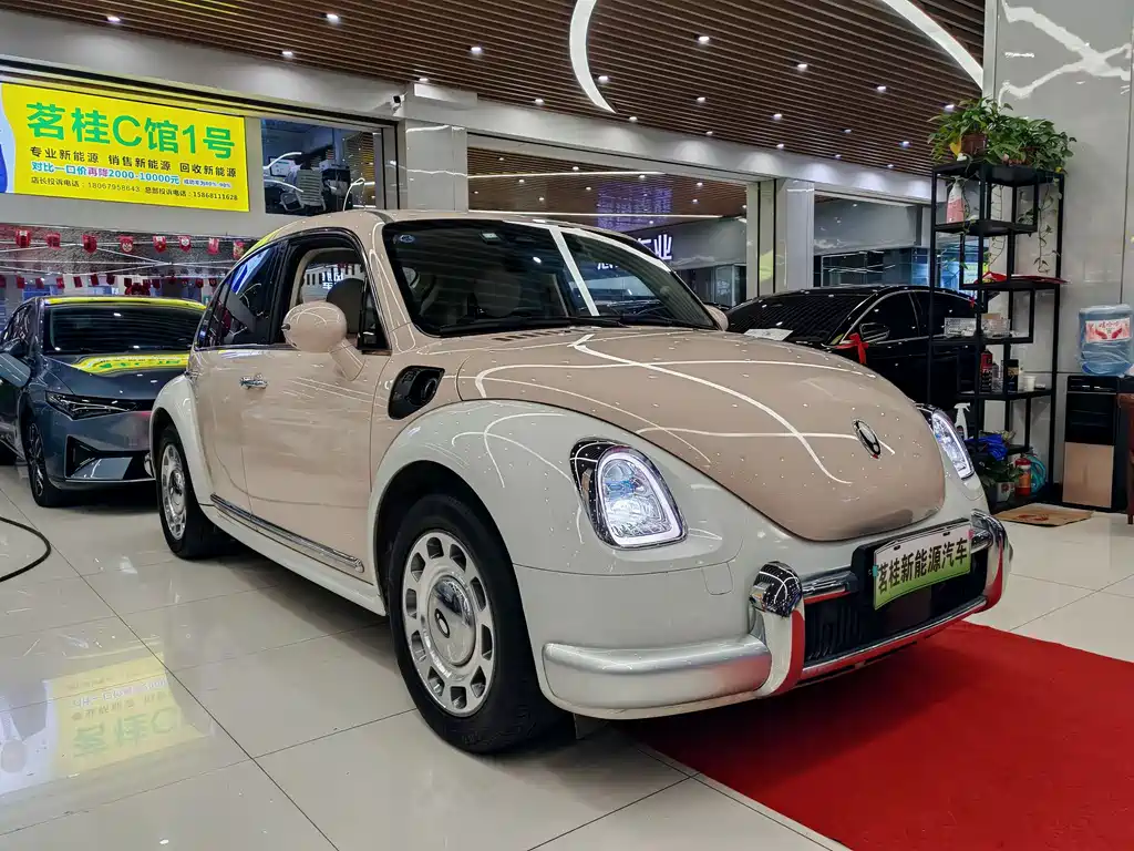 Ora Ballet Cat 2022 401km Alice Edition купить на сайте DeffCars