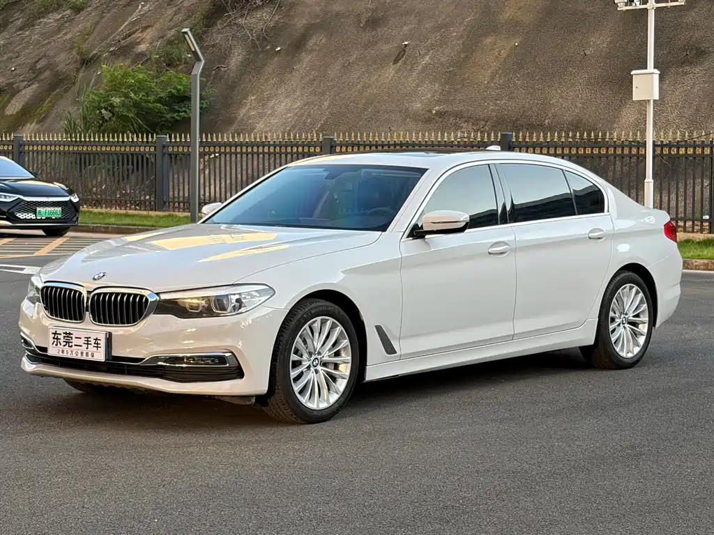BMW 5 Series 2019 530Li Leading Luxury Package купить на сайте DeffCars