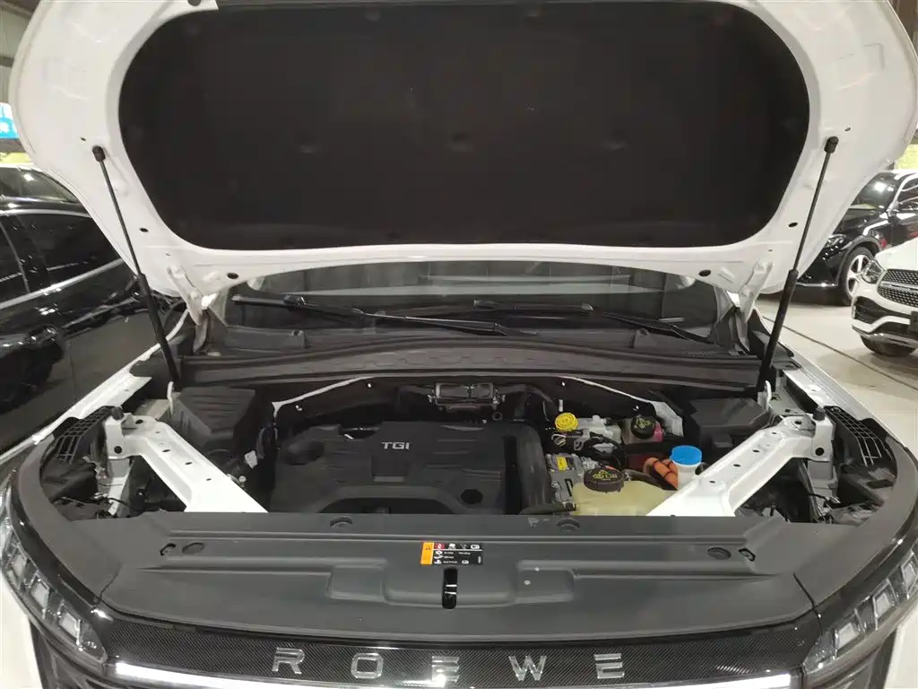 Roewe RX5 eMAX 2022 1.5T PHEV Fearless Exclusive Edition купить на сайте DeffCars