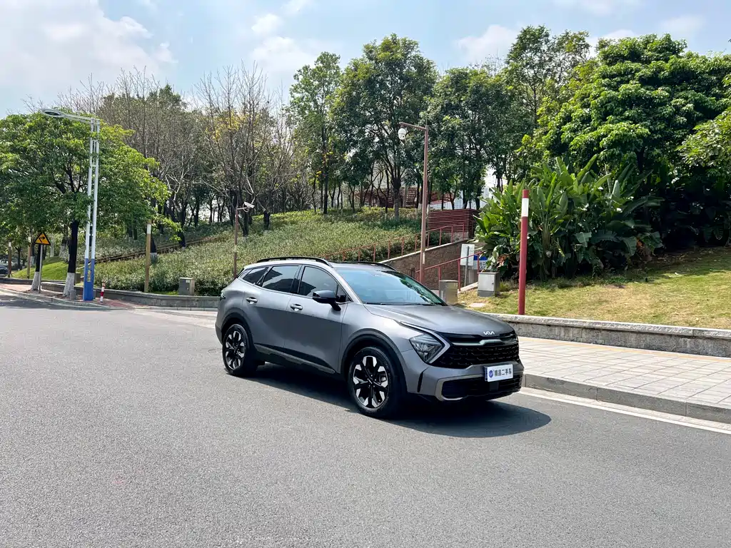 Lion Platinum expands the world 2023 2.0T two-wheel drive flagship version купить на сайте DeffCars
