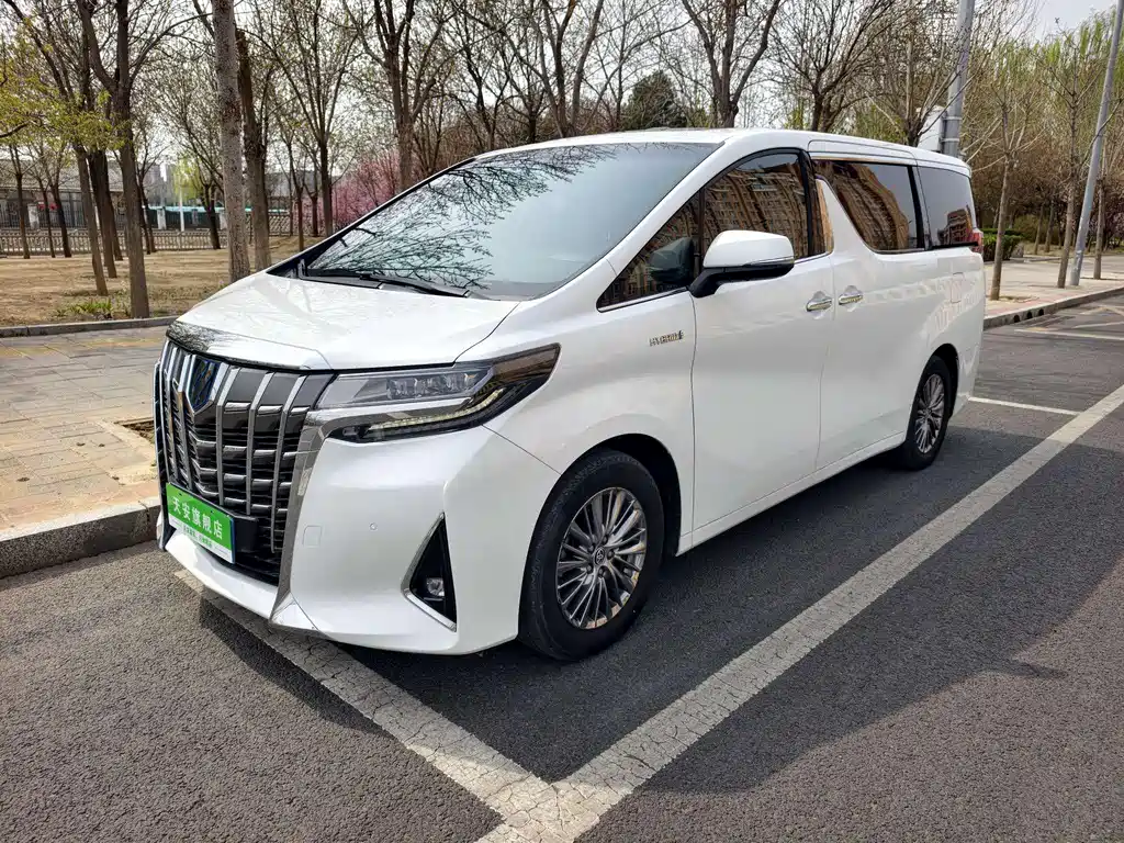 Alfa 2020 Shuangqing 2.5L Premium Edition купить на сайте DeffCars
