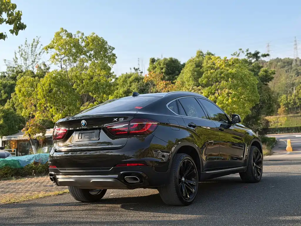 BMW X6 2017 xDrive35i leading model купить на сайте DeffCars