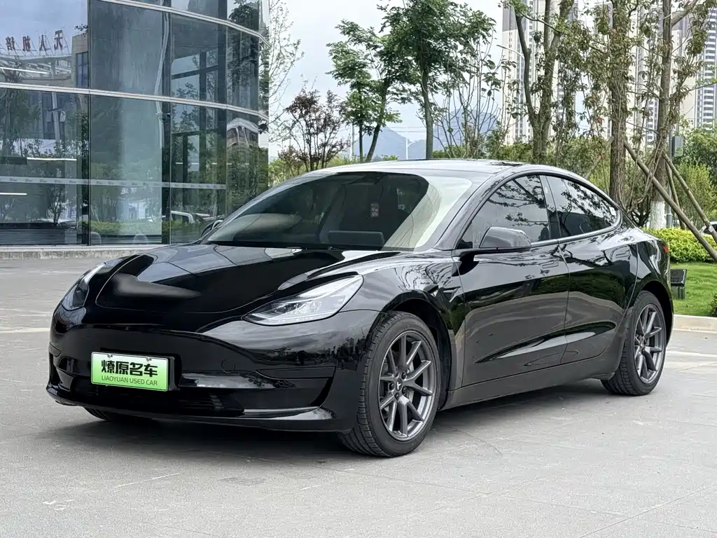 Model 3 2022 rear-wheel drive купить на сайте DeffCars