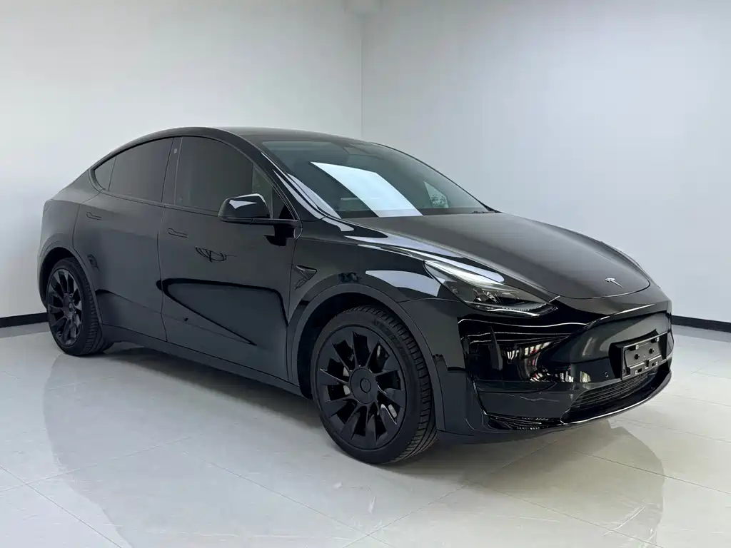 Model Y 2022 rear-wheel drive version купить на сайте DeffCars