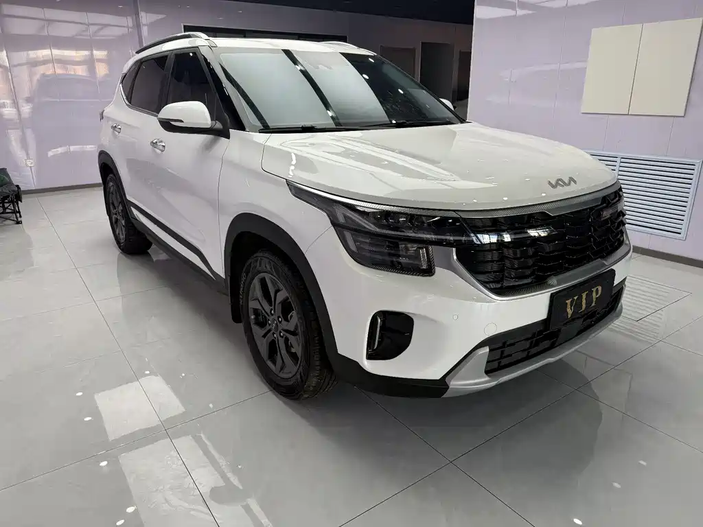 Sethus 2023 1.5L CVT Deluxe Edition купить на сайте DeffCars
