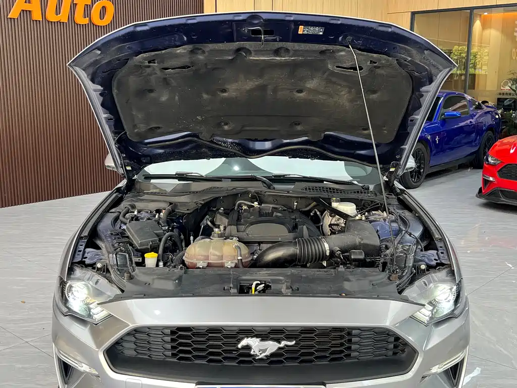 Mustang 2019 2.3L EcoBoost купить на сайте DeffCars
