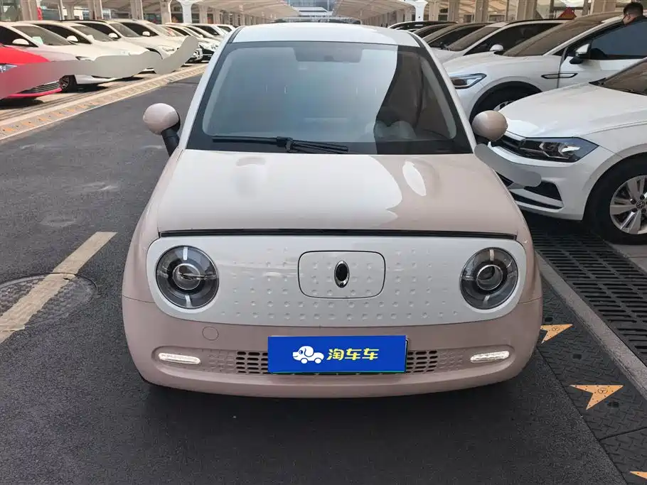 Euler Black Cat 2021 351km standard model купить на сайте DeffCars