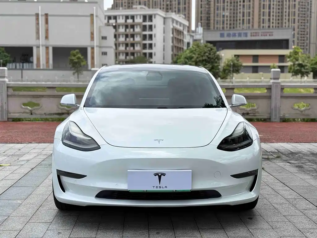 Model 3 imported 2019 standard range rear drive upgraded version купить на сайте DeffCars