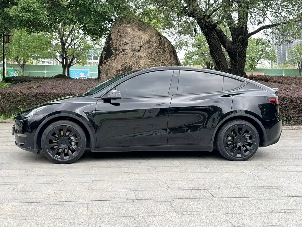 Model Y 2021 standard range rear-wheel drive version купить на сайте DeffCars