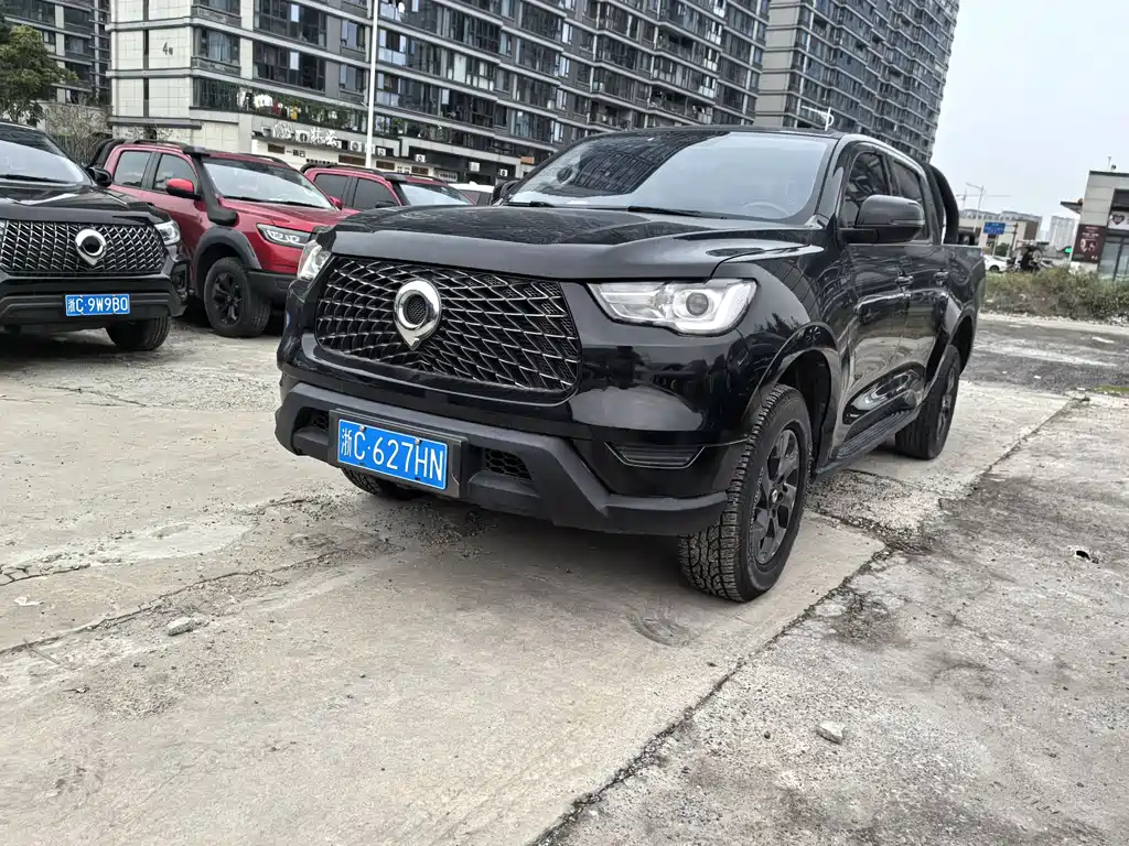 Cannon 2021 2.0T commercial version automatic diesel four-wheel drive elite standard box GW4D20M купить на сайте DeffCars