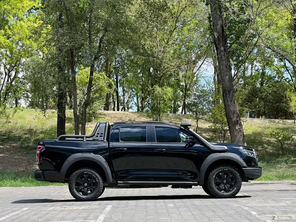 Cannon 2020 2.0T off-road version automatic gasoline four-wheel drive limited edition GW4C20B купить на сайте DeffCars