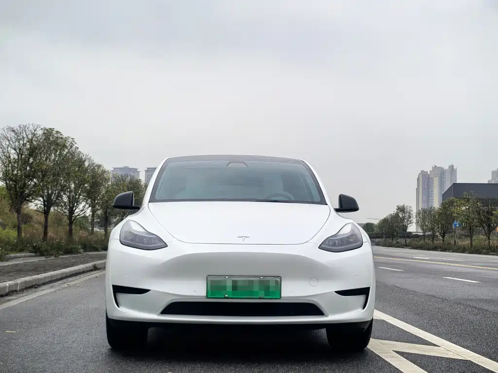 Model Y 2022 facelift rear-wheel drive version купить на сайте DeffCars