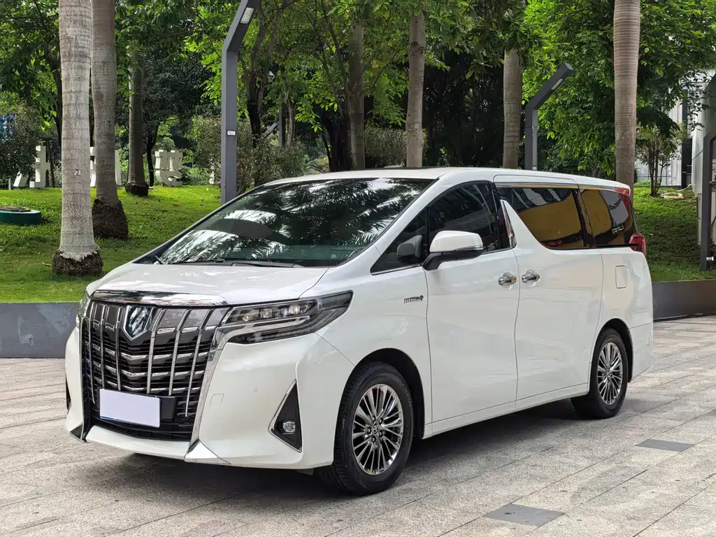 Alfa 2021 Shuangqing 2.5L Premium Edition купить на сайте DeffCars