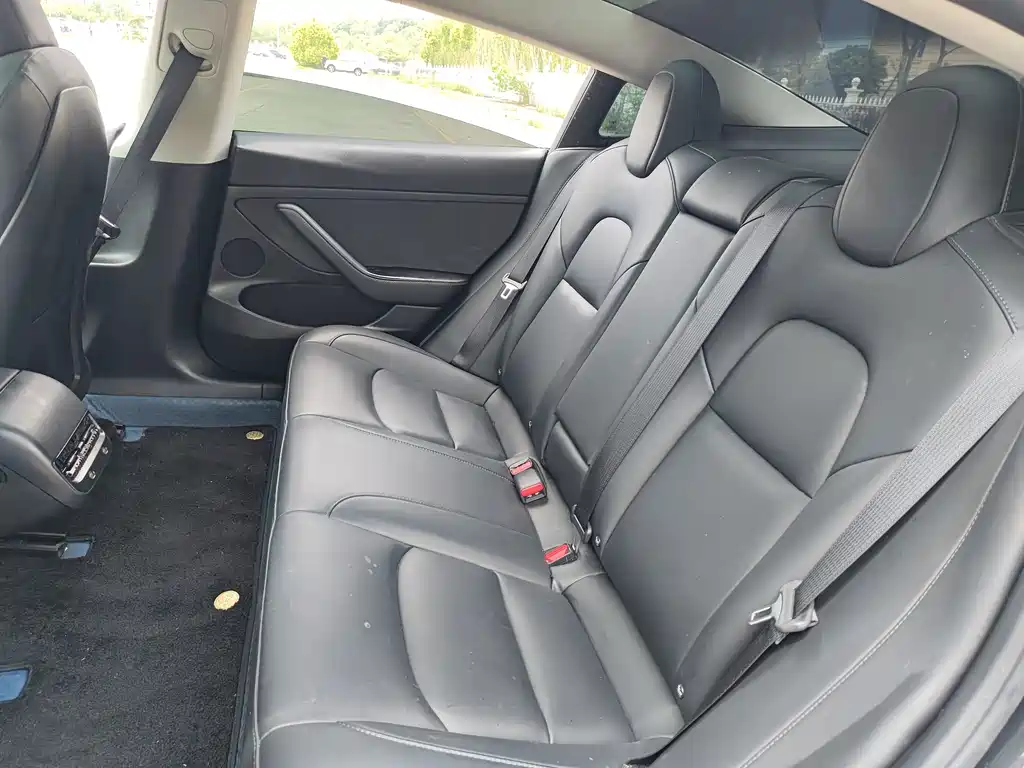 Model 3 2022 rear-wheel drive version купить на сайте DeffCars