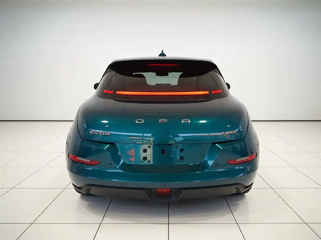 Euler Good Cat 2023 model 401km standard battery life luxury model lithium iron phosphate купить на сайте DeffCars