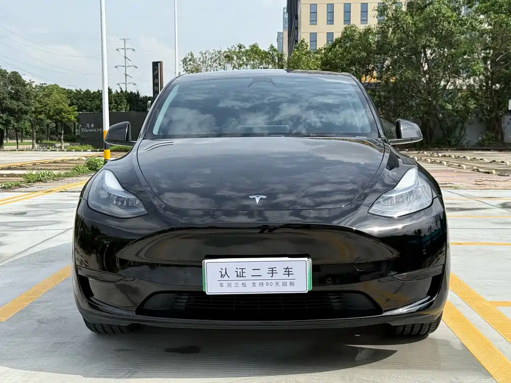 Model Y 2023 rear-wheel drive version купить на сайте DeffCars
