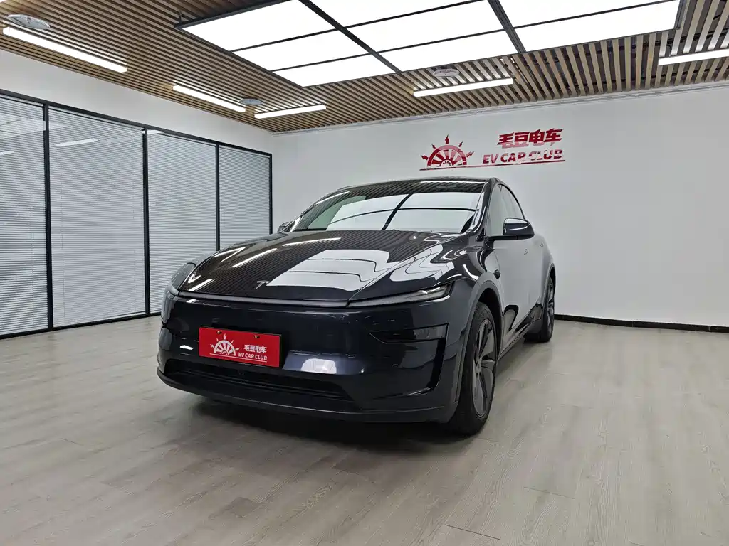 Model Y 2025 rear-wheel drive version купить на сайте DeffCars
