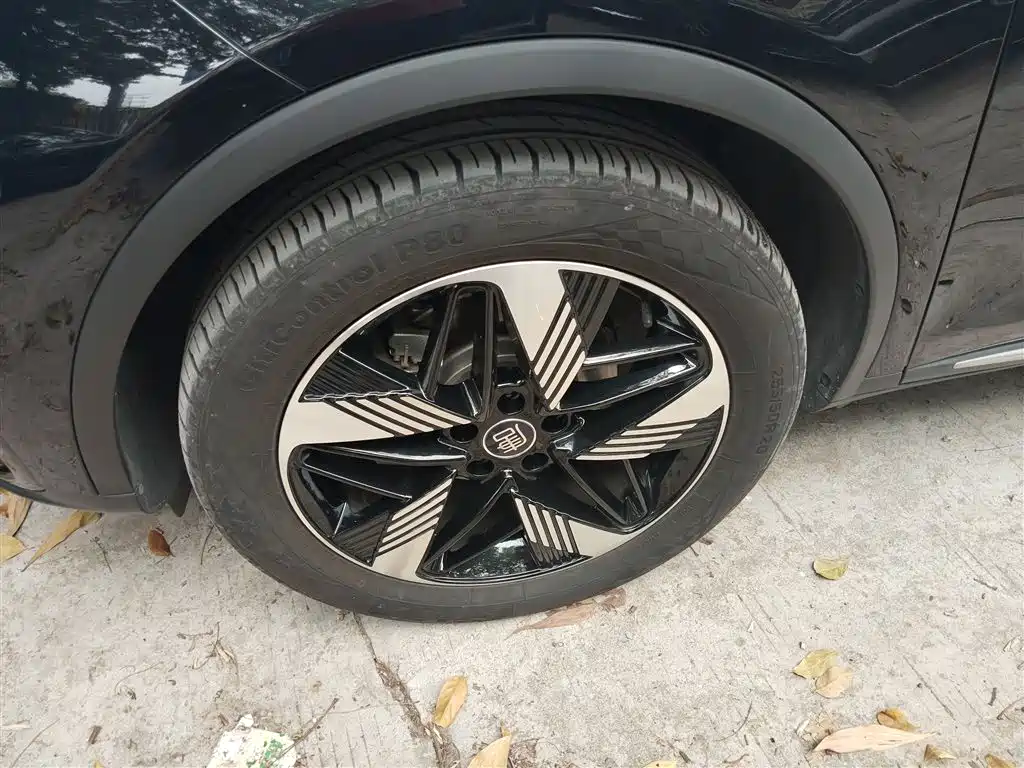 Tangxin Energy 2023 DM-i Champion Edition 112KM Exclusive Type купить на сайте DeffCars