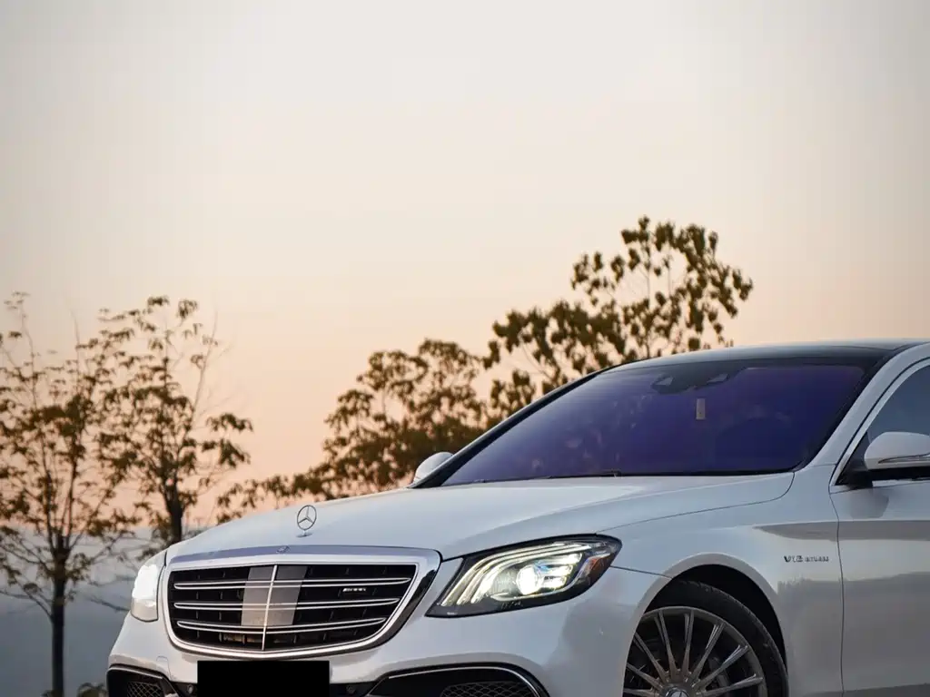 Mercedes-Benz S-Class AMG 2014 AMG S 65 L купить на сайте DeffCars